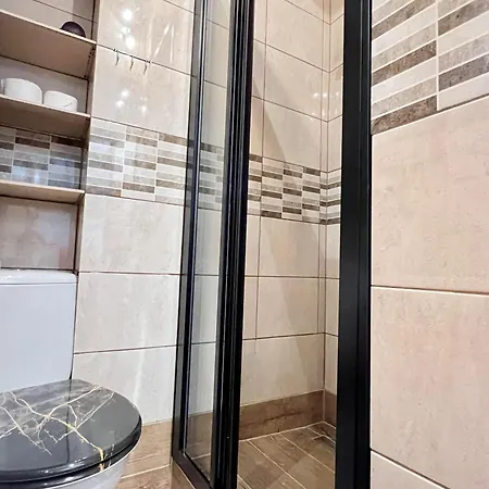 Antique In Lägenhet *